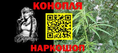 шишки Берёзовский
