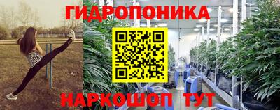 шишки Берёзовский
