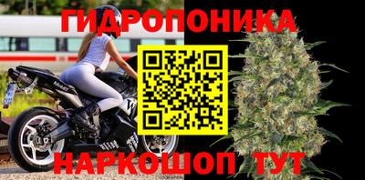 PSILOCYBIN Бийск